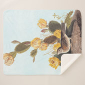 Couverture Sherpa Audubon Vesper Sparrow et Prickly Pear Cactus (Devant (Horizontal))