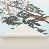 Couverture Sherpa Audubon White Eyed Vireo Song Bird Art (3/4)