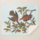 Couverture Sherpa Audubon Zenaida Dove avec fleurs (Devant (Horizontal))