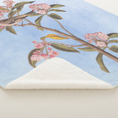 Couverture Sherpa Audubon's Cuvier's Kinglet Mystery Bird (3/4)