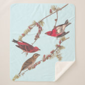 Couverture Sherpa Audubon's Purple Finch Trois oiseaux rouges en hiv (Devant)
