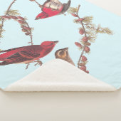 Couverture Sherpa Audubon's Purple Finch Trois oiseaux rouges en hiv (3/4)