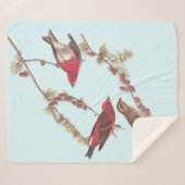 Couverture Sherpa Audubon's Purple Finch Trois oiseaux rouges en hiv (Devant (Horizontal))