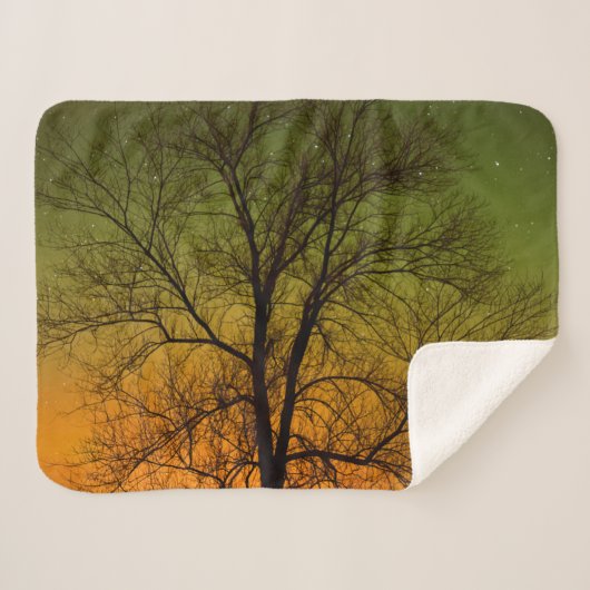 Couverture Sherpa Aurore Boréale & Peuplier (Devant (Horizontal))