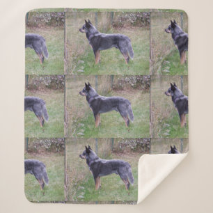 Couverture Sherpa Australian_Cattle_Dog_blue complet