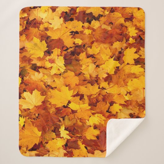 Couverture Sherpa Automne (Devant)