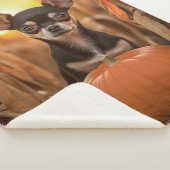 Couverture Sherpa Automne Chihuahua (3/4)