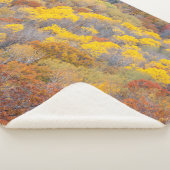 Couverture Sherpa Automne dans le Michigan (3/4)