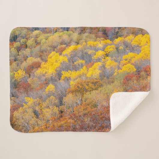 Couverture Sherpa Automne dans le Michigan (Devant (Horizontal))
