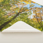 Couverture Sherpa Automne dans une forêt à Amesbury, Massachusetts (3/4)