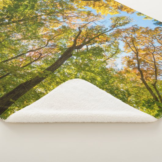 Couverture Sherpa Automne dans une forêt à Amesbury, Massachusetts (3/4)