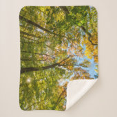 Couverture Sherpa Automne dans une forêt à Amesbury, Massachusetts (Devant)