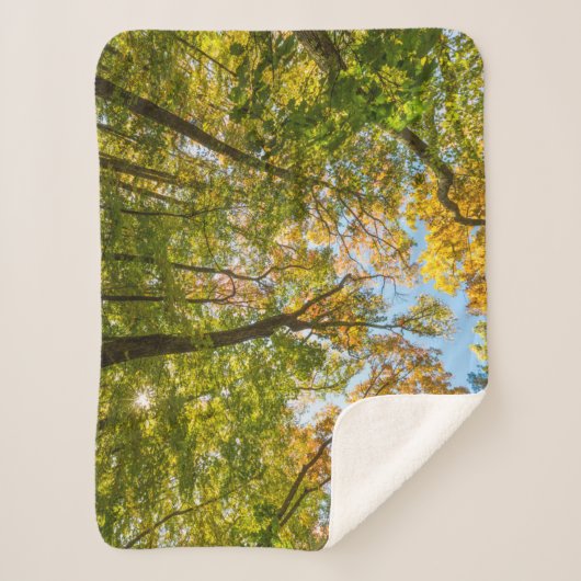 Couverture Sherpa Automne dans une forêt à Amesbury, Massachusetts (Devant)