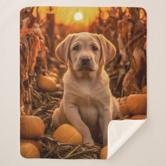 Couverture Sherpa Autumn Yellow Lab Pup (Devant)