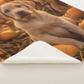 Couverture Sherpa Autumn Yellow Lab Pup (3/4)
