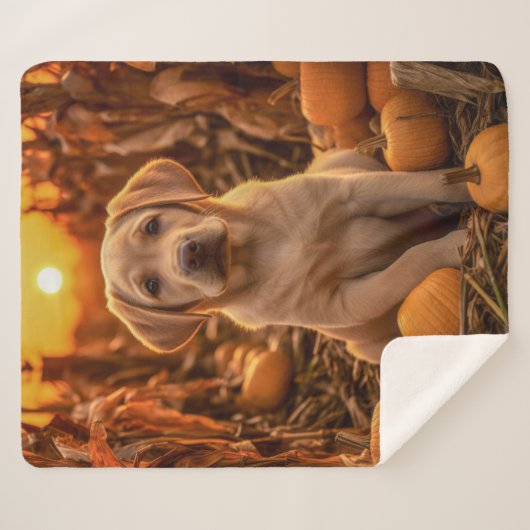 Couverture Sherpa Autumn Yellow Lab Pup (Devant (Horizontal))