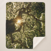 Couverture Sherpa Auvent Sunstar de banian (Devant)