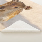 Couverture Sherpa Baby Deer (3/4)