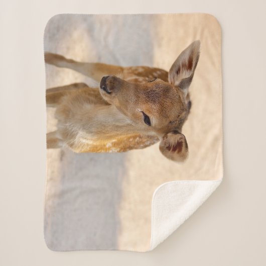 Couverture Sherpa Baby Deer (Devant)