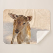 Couverture Sherpa Baby Deer (Devant (Horizontal))