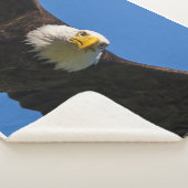 Couverture Sherpa Bald Eagle Flyby Up Close (3/4)