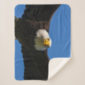 Couverture Sherpa Bald Eagle Flyby Up Close (Devant)