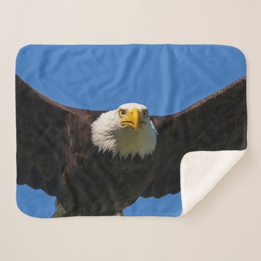 Couverture Sherpa Bald Eagle Flyby Up Close (Devant (Horizontal))