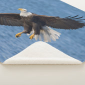 Couverture Sherpa Bald eagle in flight (3/4)