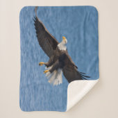 Couverture Sherpa Bald eagle in flight (Devant)