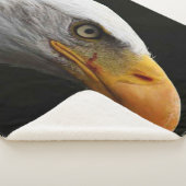 Couverture Sherpa Bald Eagle sbcna (3/4)