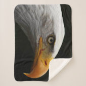 Couverture Sherpa Bald Eagle sbcna (Devant)