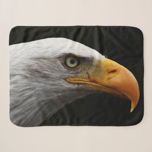 Couverture Sherpa Bald Eagle sbcnm (Devant (Horizontal))