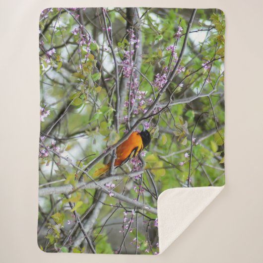 Couverture Sherpa Baltimore Oriole (Devant)