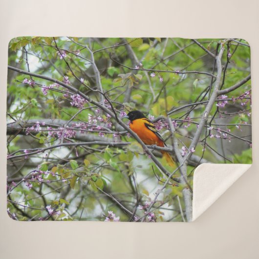 Couverture Sherpa Baltimore Oriole (Devant (Horizontal))
