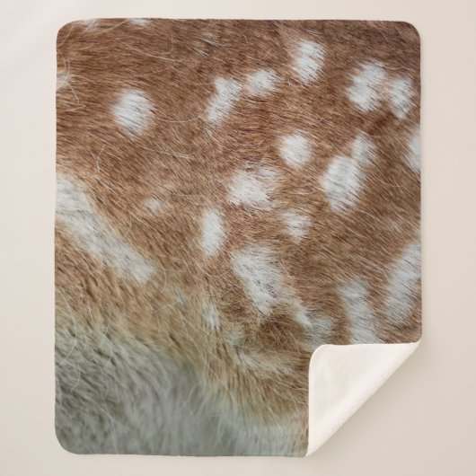 COUVERTURE SHERPA BAMBI (Devant)
