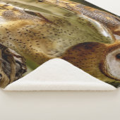 COUVERTURE SHERPA BARN OWL (3/4)