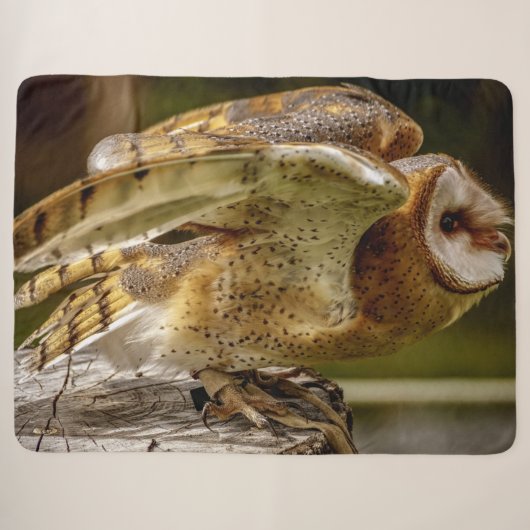 COUVERTURE SHERPA BARN OWL (Devant (Horizontal))