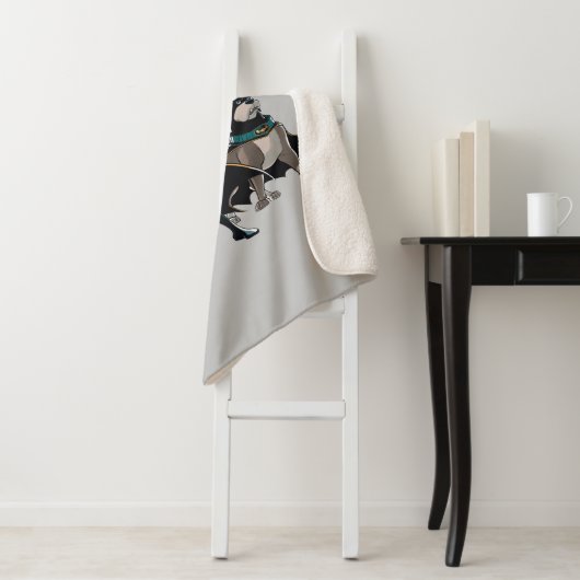 Couverture Sherpa Batman & Ace (En situation)