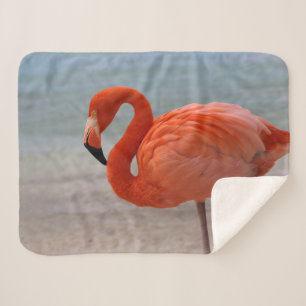 Couverture Sherpa Beaches tropicales Caribbean Flamingo, Aruba