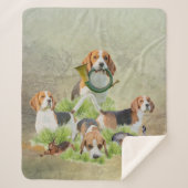 Couverture Sherpa Beagle (Devant)
