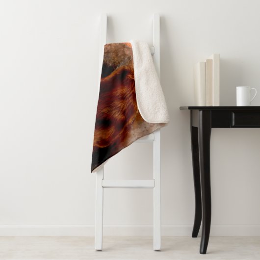 Couverture Sherpa Beagle (En situation)