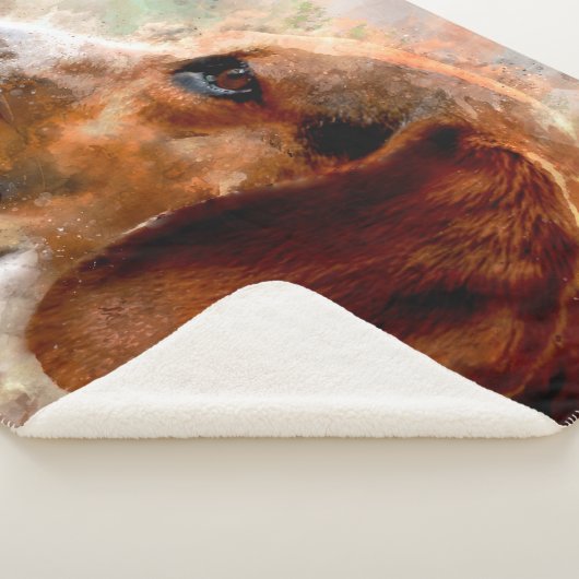 Couverture Sherpa Beagle (3/4)