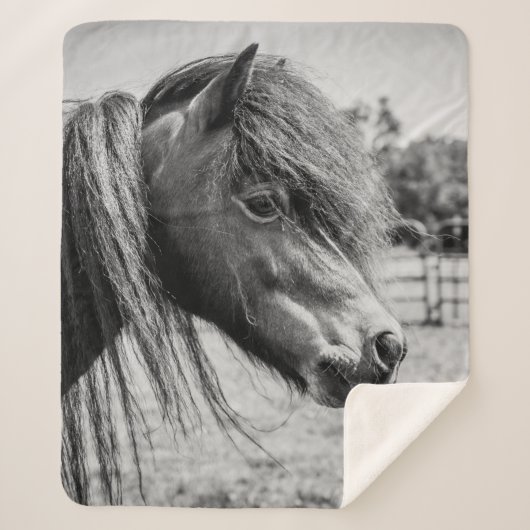 COUVERTURE SHERPA BEAU CHEVAL (Devant)