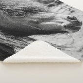 COUVERTURE SHERPA BEAU CHEVAL (3/4)