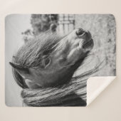 COUVERTURE SHERPA BEAU CHEVAL (Devant (Horizontal))