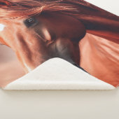 Couverture Sherpa Beau cheval Brown Morgan Thoroughbred (3/4)