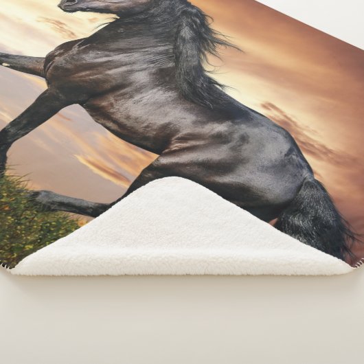Couverture Sherpa Beau Cheval Noir (3/4)