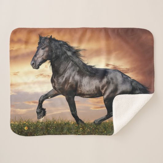 Couverture Sherpa Beau Cheval Noir (Devant (Horizontal))