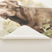 Couverture Sherpa Beau laboratoire de chocolat (3/4)