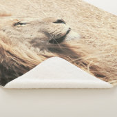 COUVERTURE SHERPA BEAU LION (3/4)